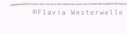 Copyright Flavia Westerwelle